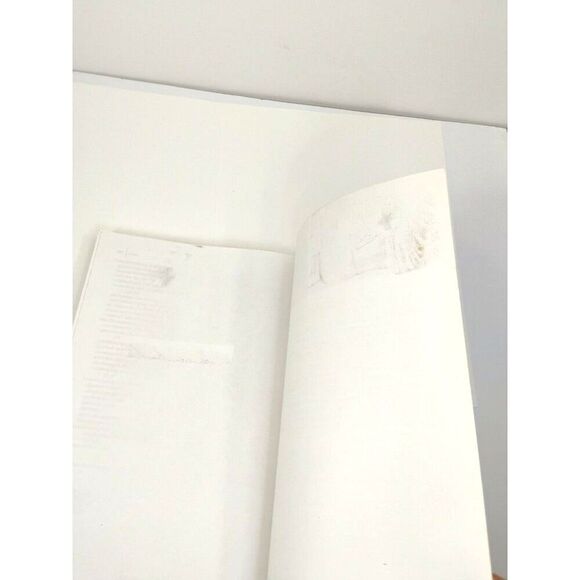 Transformational Leadership in Nursing: From Expert Clinician to Inf Leader - Picture 4 of 11